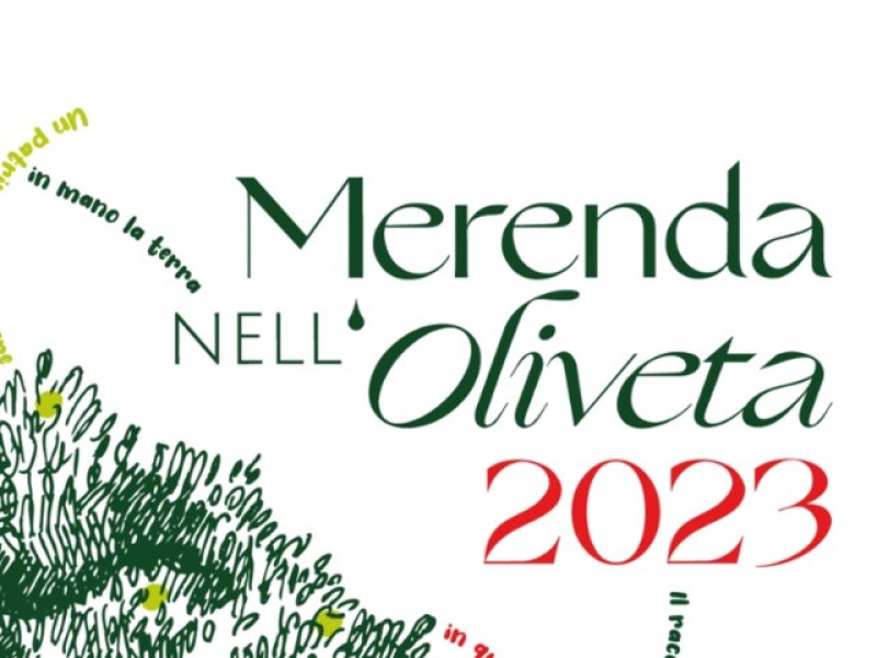 Merenda nell'oliveta 2023